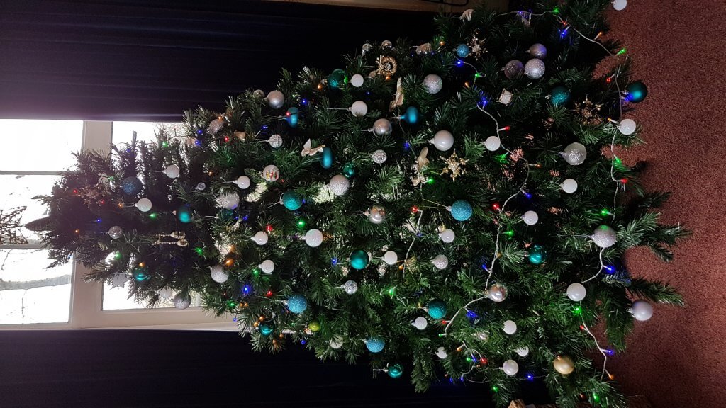 The first tree to go up at St Petrocs in Bodmin..... Stonehaven