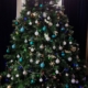 St Petrocs Christmas Tree