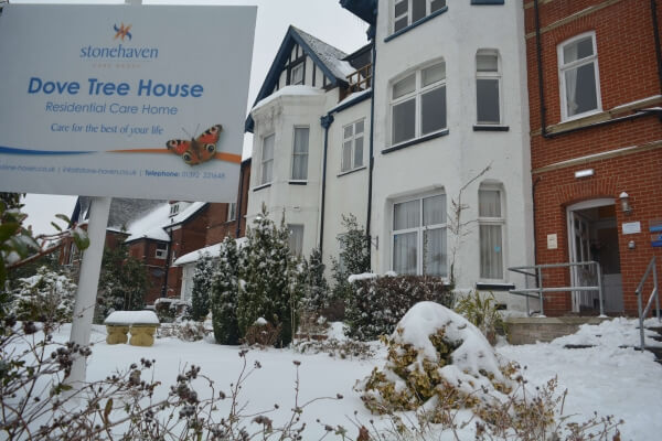Dove Tree House - Snow