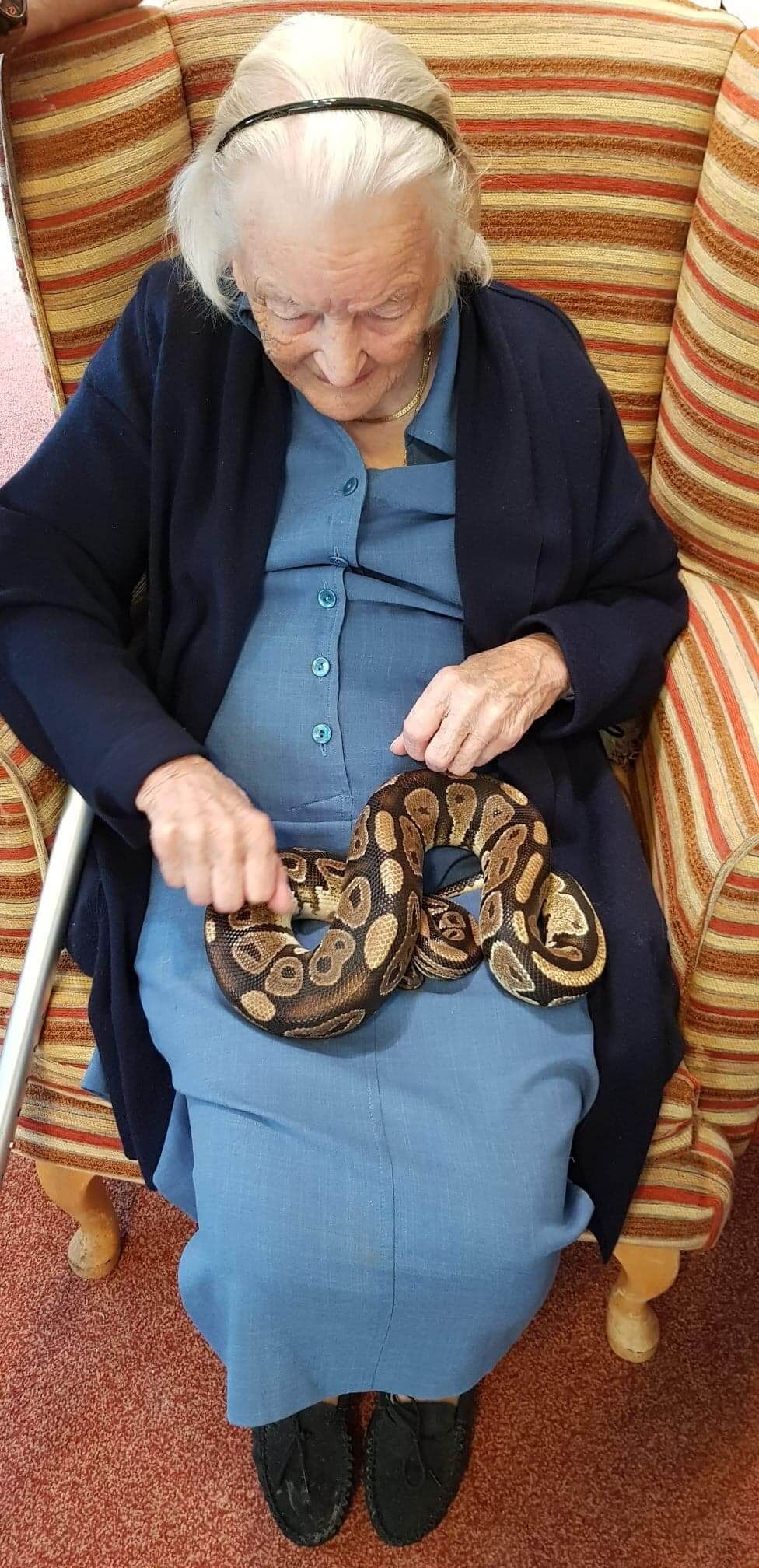 Hendra Farm visit Chollacott House Stonehaven Residential Care Homes