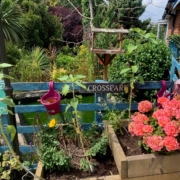 Cross Park Colourful Garden